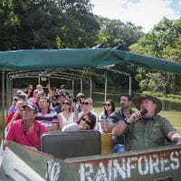Cairns Rainforest Tours